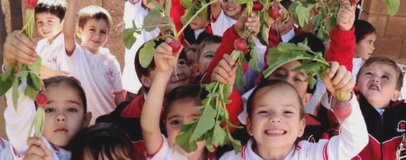Cosechando la parcela Valle Alto