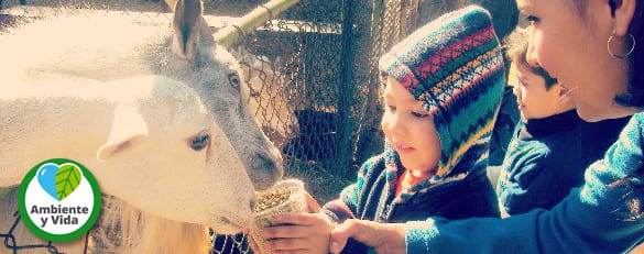 Visita de Plantel Chapultepec a Mundo Safari