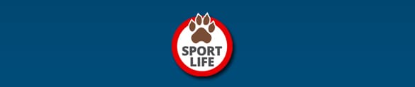 Invitación Sport Day VA