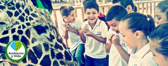 Visita al Zoológico / 2°B Primaria T.B.