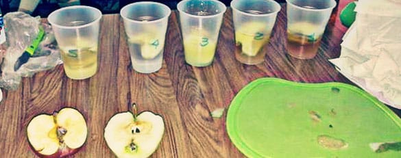 Práctica del Método Científico | 3° Secundaria TB