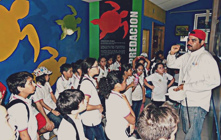 Liberación Tortuga en Ceuta / 5° Primaria Tierra Blanca