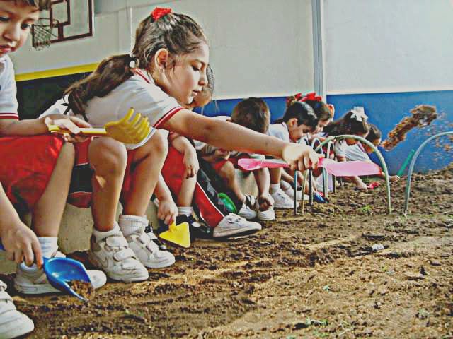 Sembrando a parcela | Preescolar Chapultepec