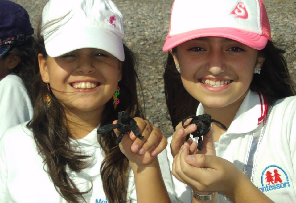 Liberación Tortuga Ceuta | Primaria Valle Alto