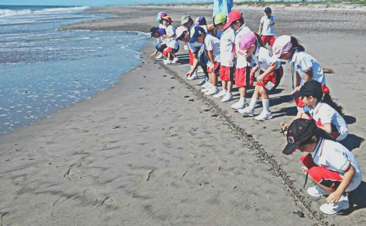 Liberación de tortugas en Playa Ceuta | Preescolar Valle Alto