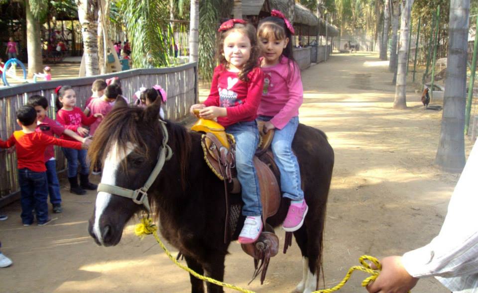 Mundo Zafarí | Preescolar Valle Alto