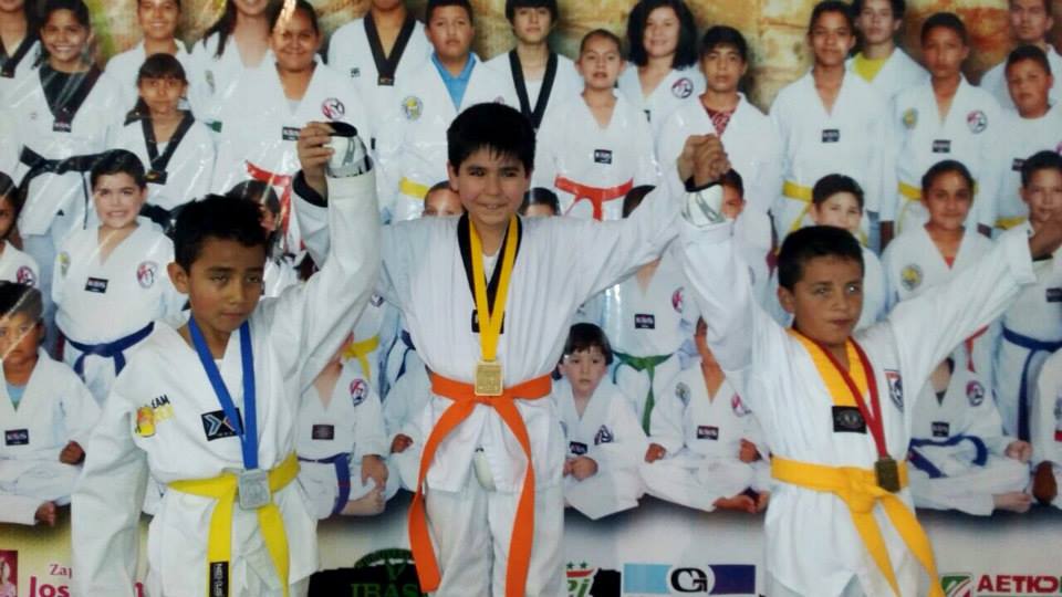 3er. Torneo Abierto de Taekwondo