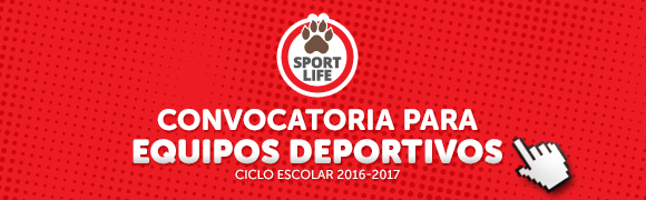 Convocatoria Equipos Deportivos