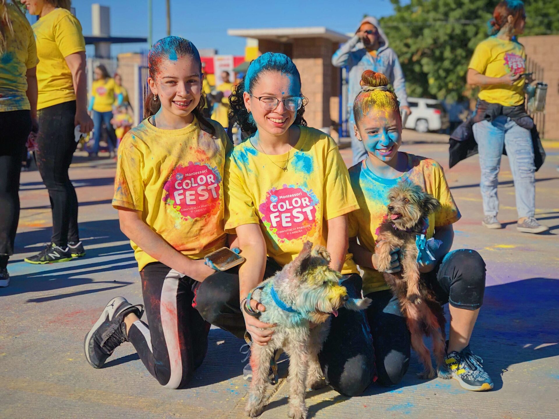 Color Fest 2019