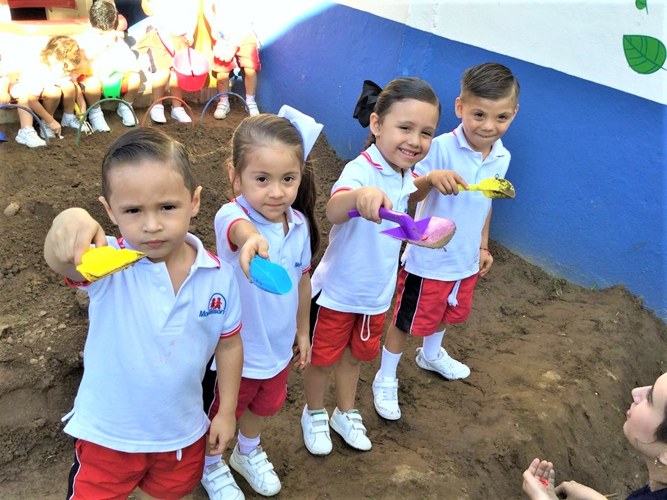 Siembra en la parcela | Preescolar Plantel Chapultepec