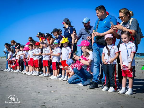 Liberación de tortugas en Playa Ceuta | Kindergarten