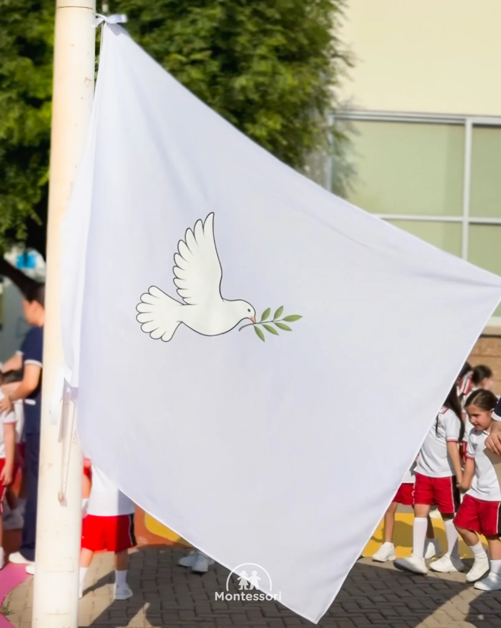 🕊️ Día Internacional de la Paz 🤍 Nuestros alumnos conmemoraron…